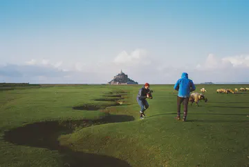 Un opérateur accroupi filme un troupeau de moutons dans les herbus, le Mont-Saint-Michel à l'horizon.