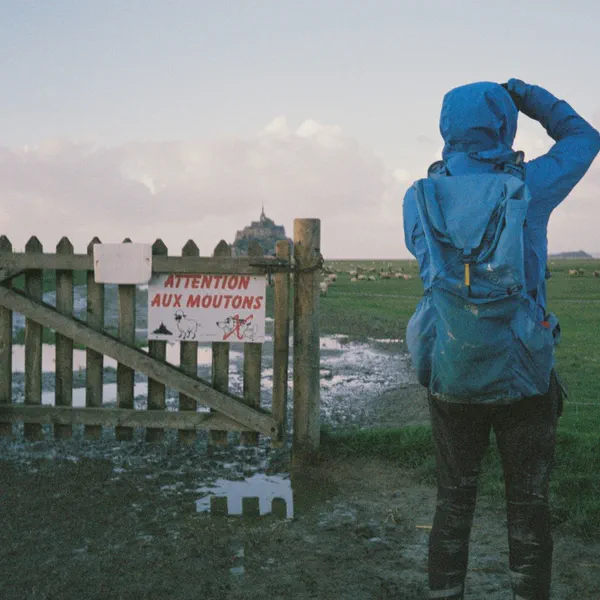Une personne en veste bleue regarde un troupeau de moutons près d’un portail affichant un avertissement, flèche au loin.