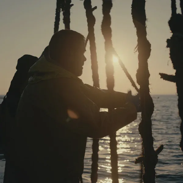 Un homme en contre-jour tire sur des cordes couvertes de moules, soleil couchant reflété sur l’eau.