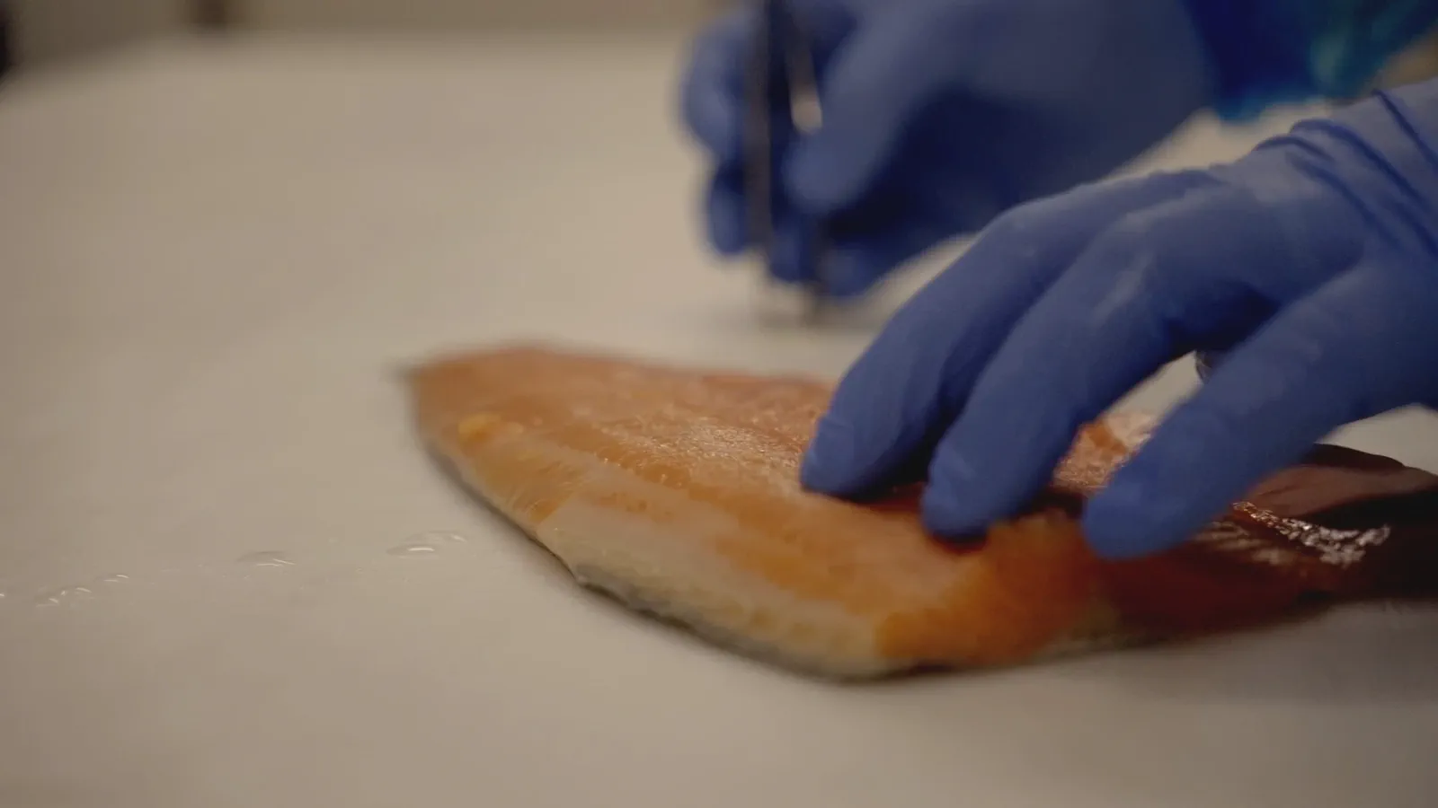 Des mains gantées de bleu manipulent un filet de poisson sur une planche, pince à arêtes en arrière-plan.