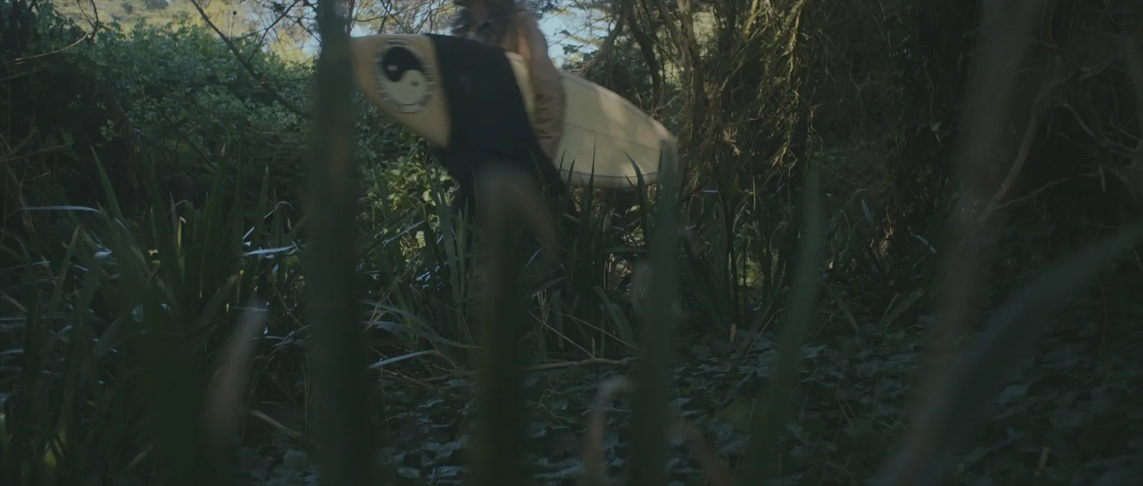 Extrait du film Tides of Time