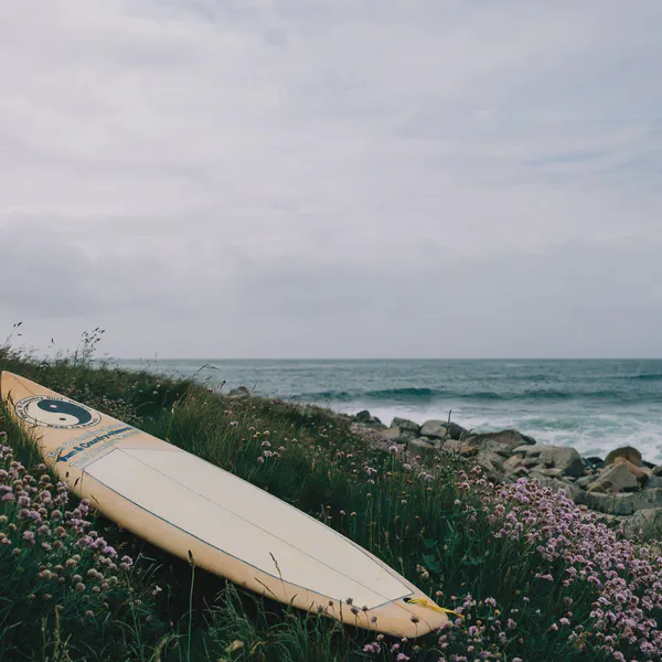 Planche de surf des années 80 posée dans l'herbe, juste avant d'aller à l'eau