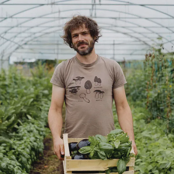 Un homme barbu tient une caisse en bois remplie de basilic et d’aubergines, dans une serre maraîchère.